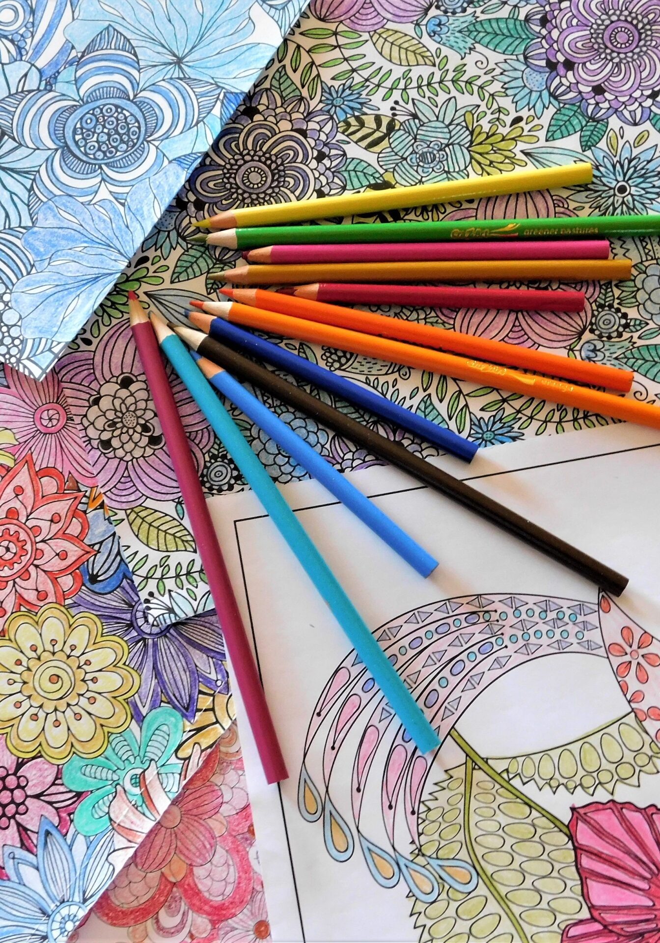 adult-coloring-nominated-2026-03-24-04-55-36-utc