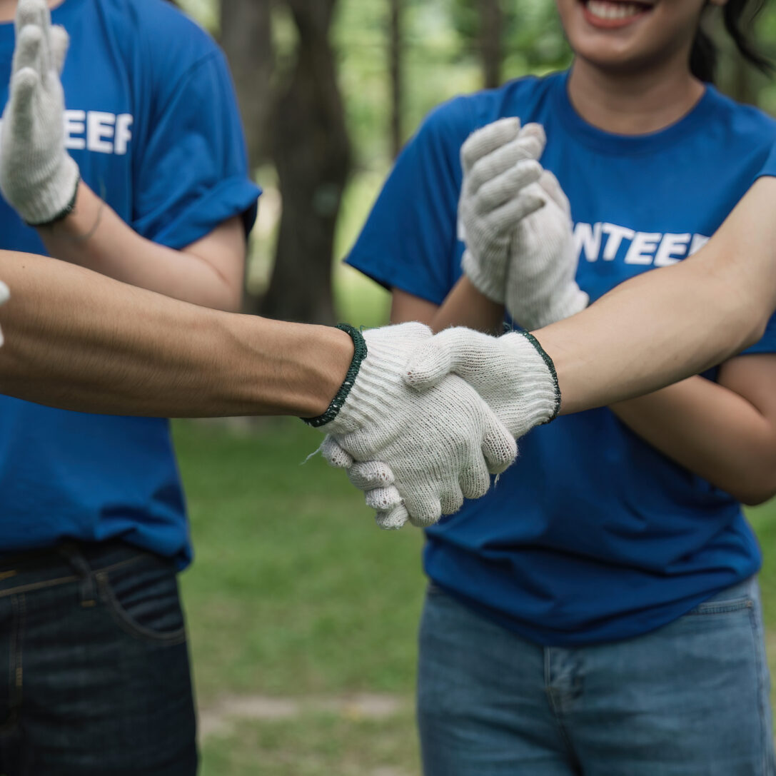 Environmentalist volunteers planting new tree and handshaking.