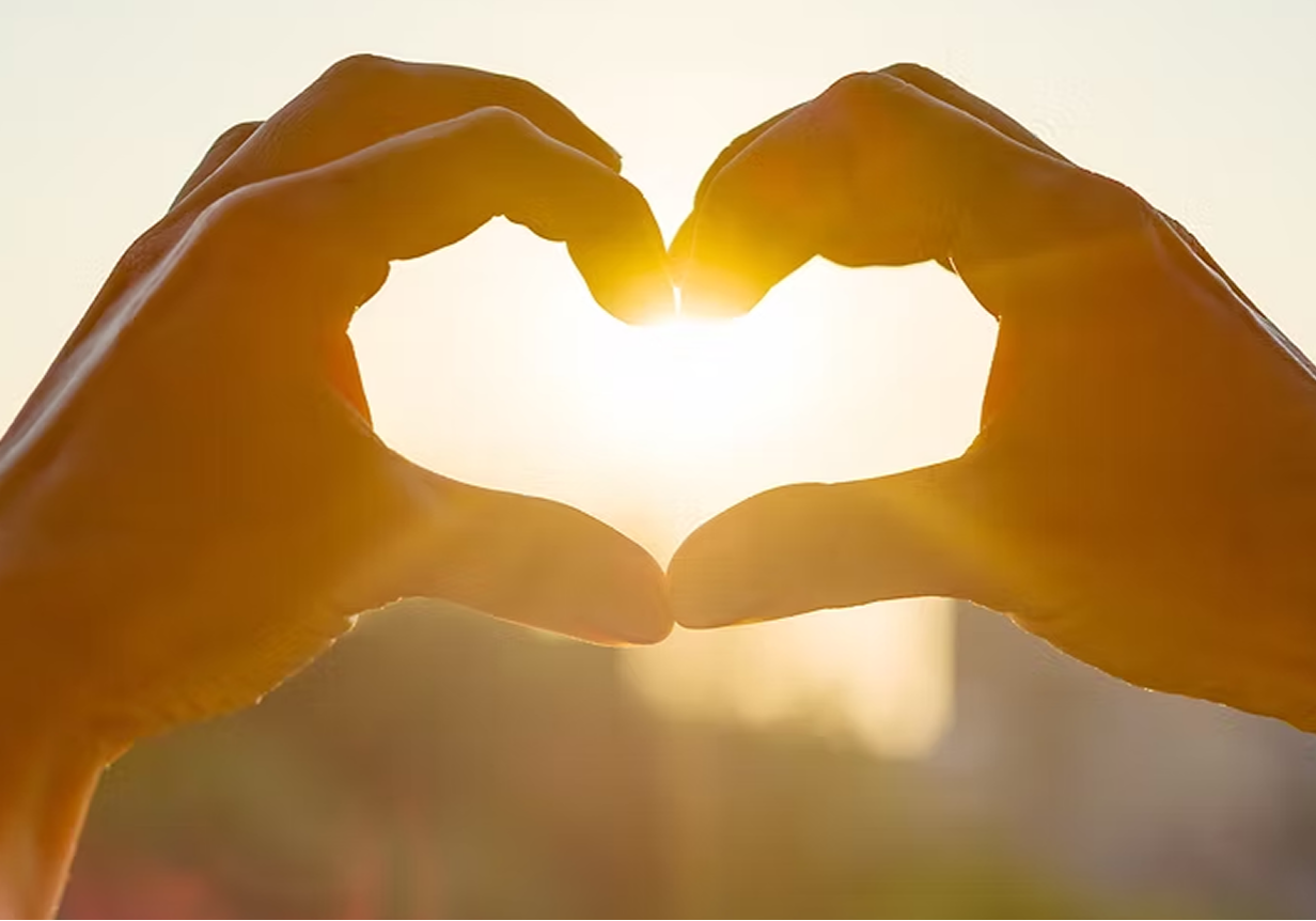 hands-show-gesture-heart 2